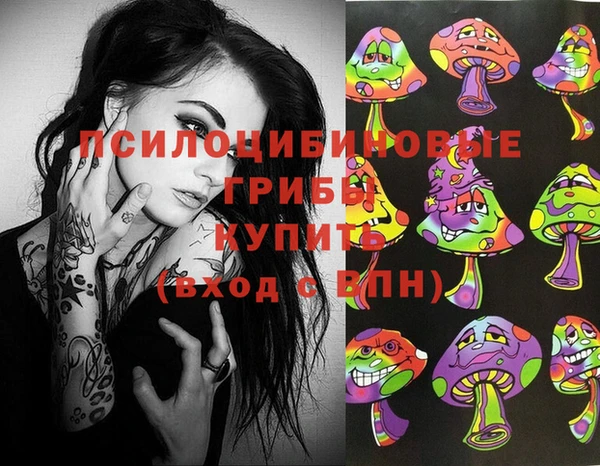 спиды Алексин